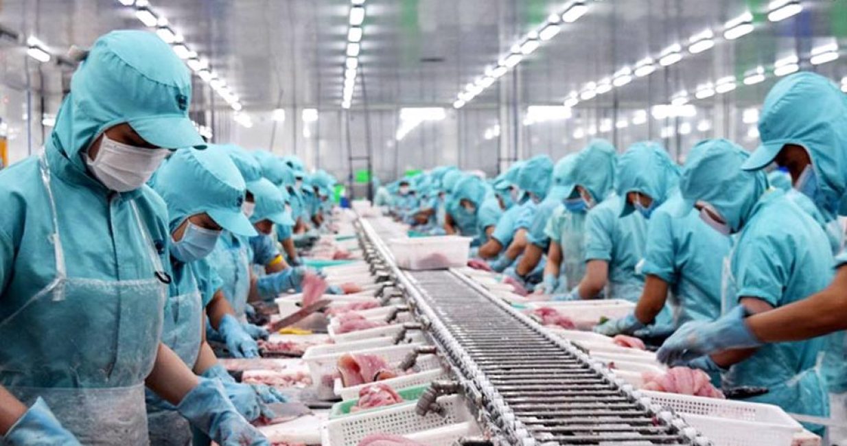 pangasius-exports-see-potential-in-some-south-american-and-asian-markets