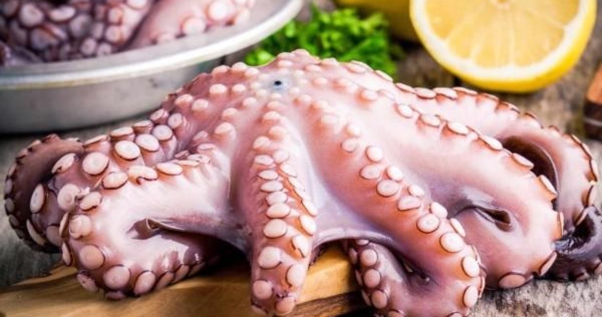 vietnams-cephalopod-exports-to-korea-increase-by-8-in-august-2023